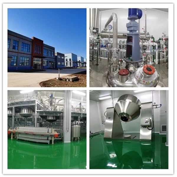 9-Anthracenylmethyl Methacrylate,CAS:31645-35-9,C19H16O2 best